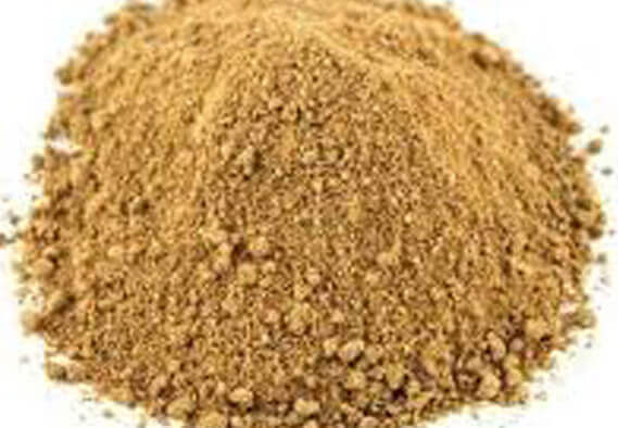 dry-mango powder Suppliers in India
